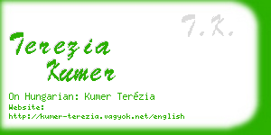 terezia kumer business card